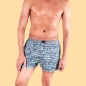 Preview: Boxershort - Leaves